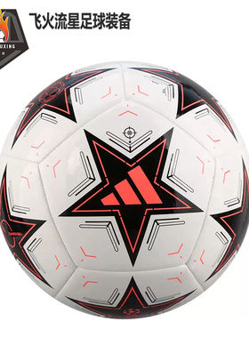 ADIDAS阿迪达斯24-25赛季欧冠5号机缝足球男女训练用球 IX4063