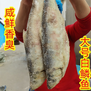 野生白磷鱼特产山东老式三刨白磷鱼梅香咸鱼霉鳓鱼海鱼干货海鲜