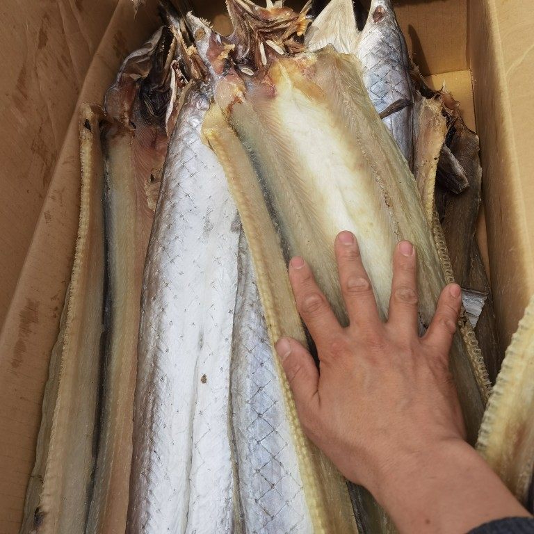 日照特产淡晒勾鱼淡盐鳗鱼干500g-750g东海油鳗鱼鳗鱼片海鲜干货