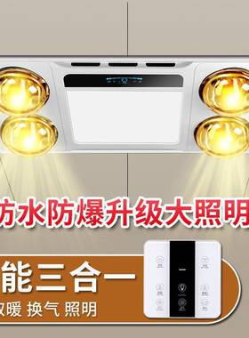 智能灯暖浴霸排气扇照明一体30x