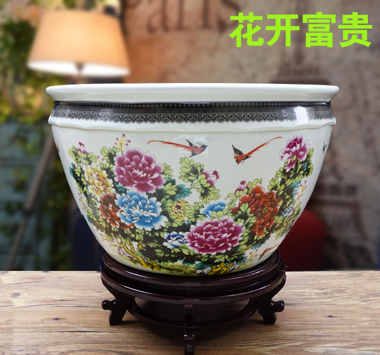 碗莲水族箱陶瓷鱼缸