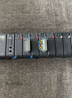 光洋Direct205 PLC工控机，带DL240 CPU模