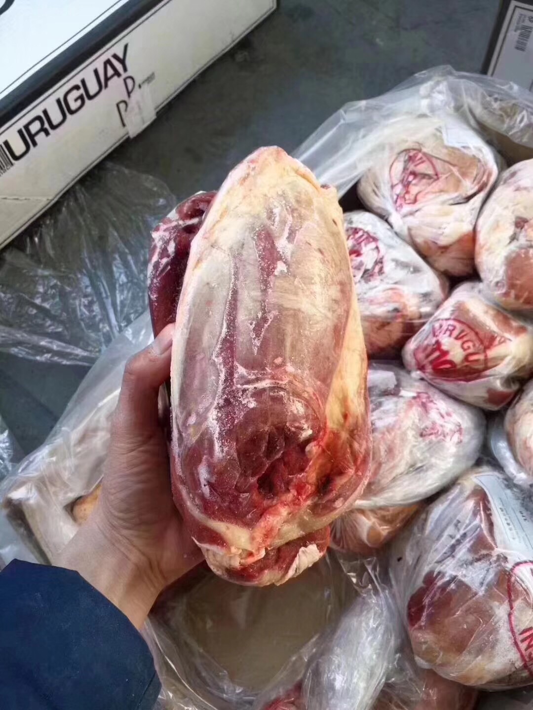 牛腱子 鲜冻牛腱子肉 牛腿肉 冷冻牛肉 牛肉 鲜冻牛肉500g