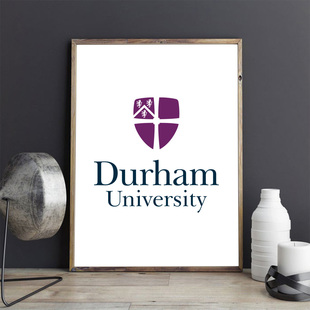Durham杜伦大学装饰画居家办公现代个性简约客厅挂画背景墙定制