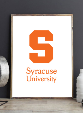 Syracuse挂画雪城大学装饰画 卧室办公 现代简约 卧室客厅 背景墙