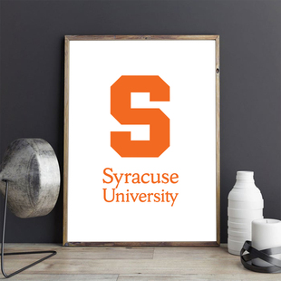 Syracuse挂画雪城大学装饰画 卧室办公 现代简约 卧室客厅 背景墙