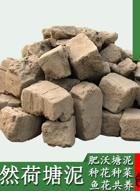 养龟方块泥天然荷塘泥块盆栽种菜养花水培淤泥碗莲睡莲营养土花泥