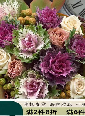 羽衣甘蓝玫瑰混搭鲜花束生日表白