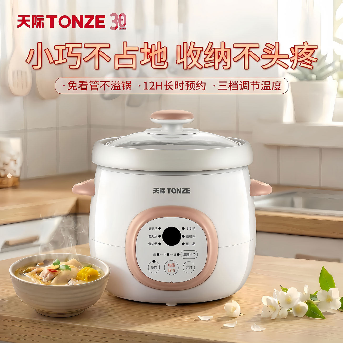 天际电炖锅家用迷你陶瓷煮粥煲汤神器煲汤砂锅智能bb煲1-2人炖盅