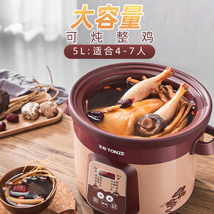 天际电炖紫砂锅5升多功能养生煲汤炖锅智能煮粥神器家用大容量5L