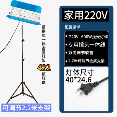 600W大功率220V油工灯工地照明灯LED碘钨灯腻子工打磨防水施工灯