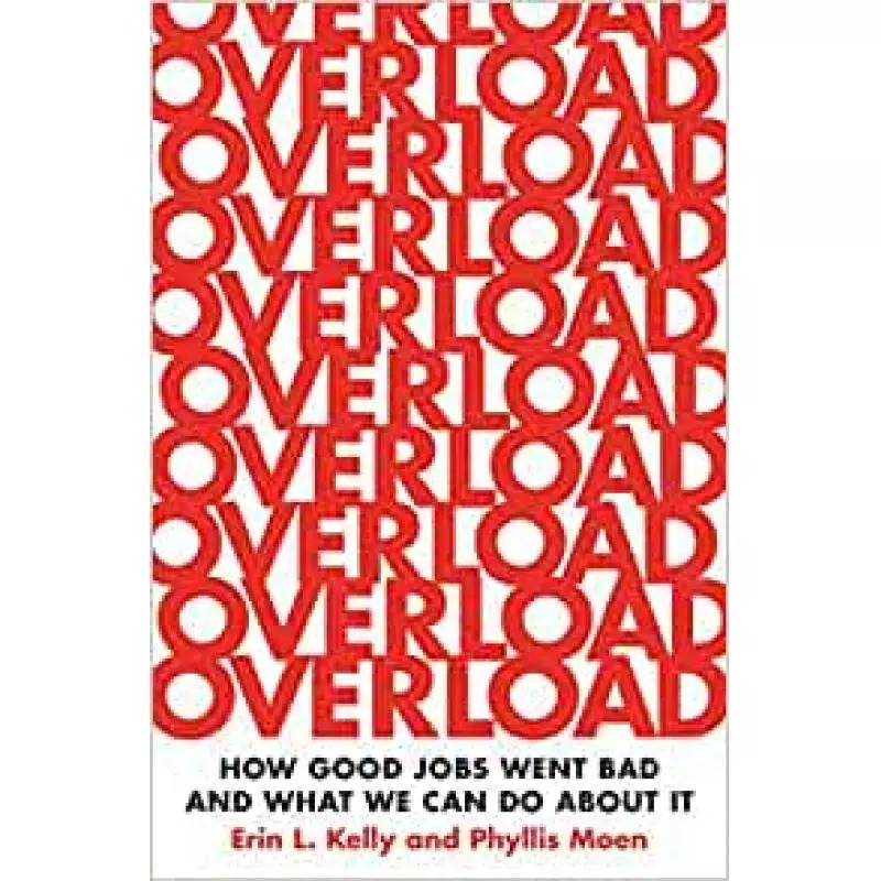 现货 英文原版 超负荷 Overload: How Good Jobs Went Bad and What We Can Do about It