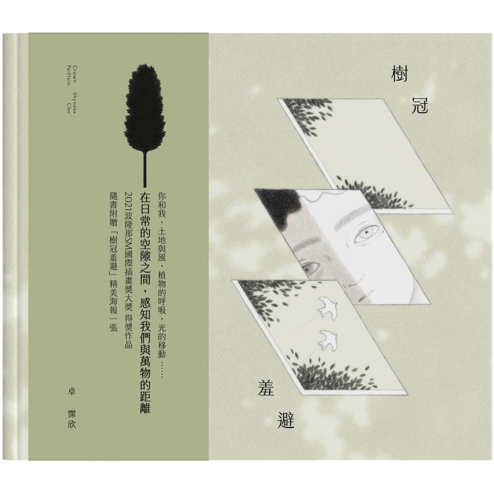 预售 树冠羞避 联经出版公司 卓霈欣