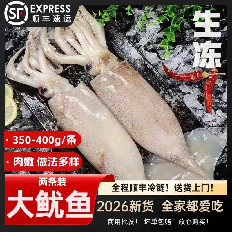 鱿鱼冷冻整条鱿鱼须嘴海灵菇超大烧烤铁板轰炸大鱿鱼大连海鲜水产
