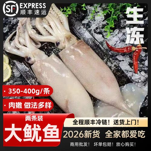 鱿鱼整条7-8两/条冷冻单单冻