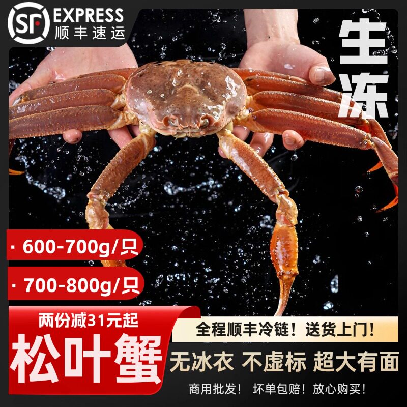 松叶蟹板蟹俄罗斯长脚雪鳕蟹生冻螃蟹冷冻蟹脚超大帝王蟹海鲜水产