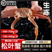 松叶蟹板蟹俄罗斯长脚雪鳕蟹生冻螃蟹冷冻蟹脚超大帝王蟹海鲜水产