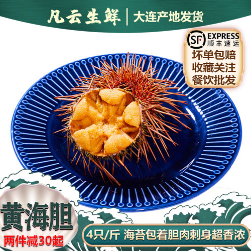 黄海胆鲜活顺丰包邮4只/斤大连发