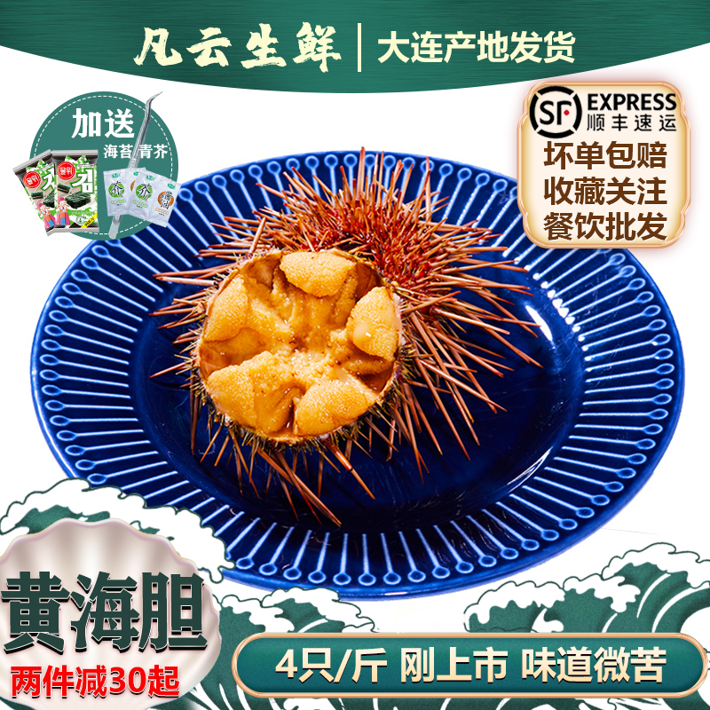 黄海胆鲜活顺丰包邮4只/斤大连发