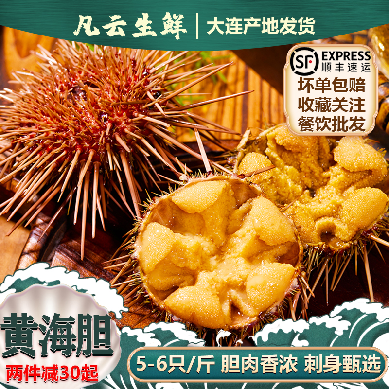 黄海胆鲜活大连海胆5-6只/斤