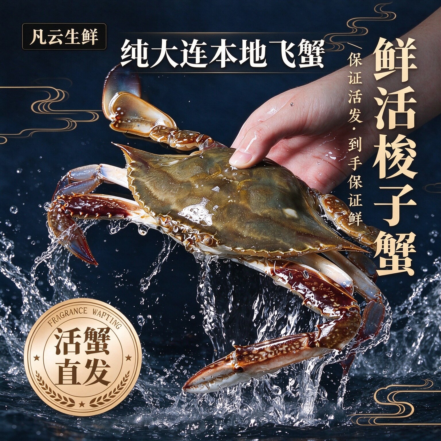 飞蟹梭子蟹非冻蟹大连新鲜特大母蟹公蟹满肉满黄海鲜水产冷水螃蟹
