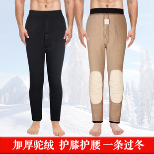 驼毛男高腰老人内穿加绒加厚爸爸宽松大码 中老年人棉裤 羊驼绒冬季