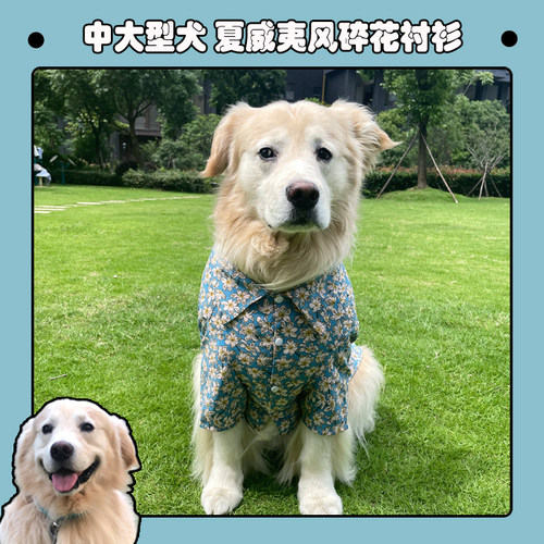 拉布拉多萨摩耶防掉毛狗狗衣服
