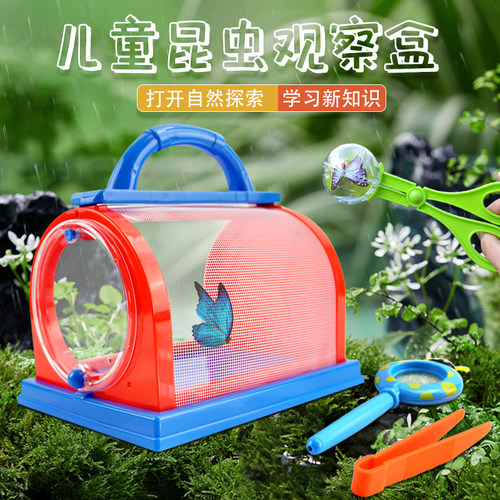 昆虫笼蜻蜓蝴蝶禅养蚕饲养笼