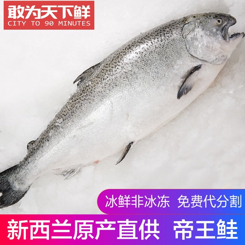 10斤1条 北京闪送 新西兰进口帝王鲑鱼 整条冰鲜三文鱼刺身图片