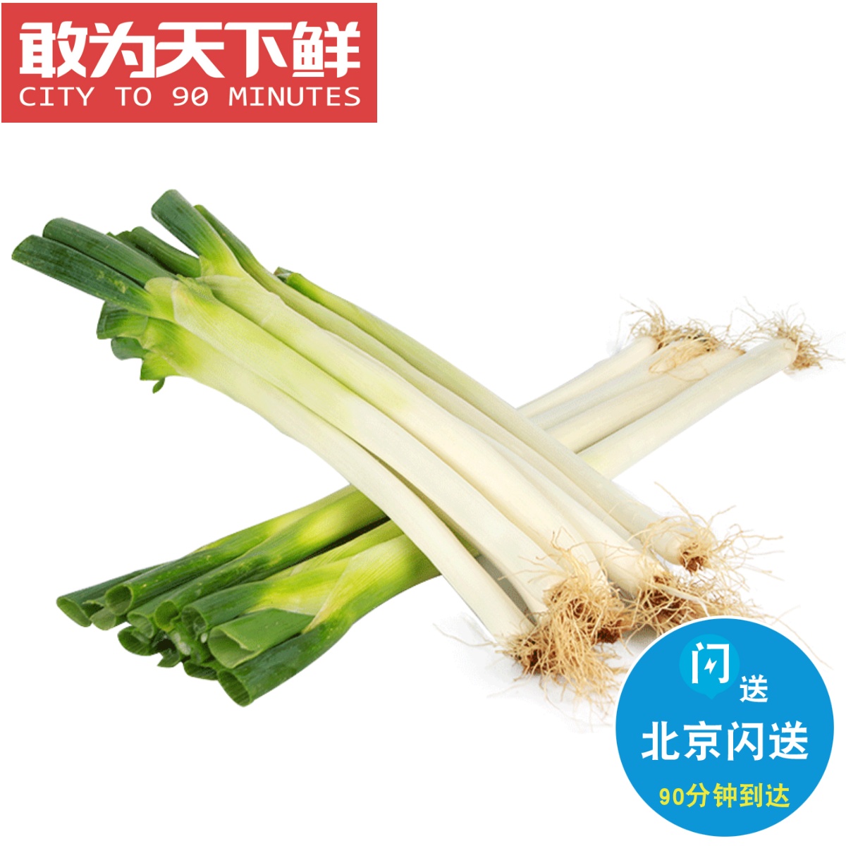 6斤 仅限北京闪送 章丘大葱 正宗山东特产 女郎山下 百脉泉边