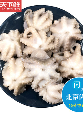 已去内脏新鲜小八爪鱼冷冻
