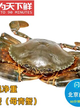 仅限发闪送5两1只膏蟹鲜活