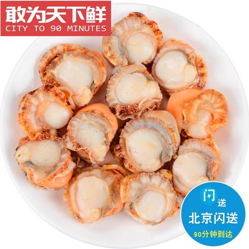 约33只500g大个冷冻扇贝肉