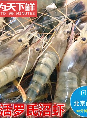 北京闪送 500g 新鲜 鲜活 罗氏虾 大头虾 金钱虾 沼虾活虾