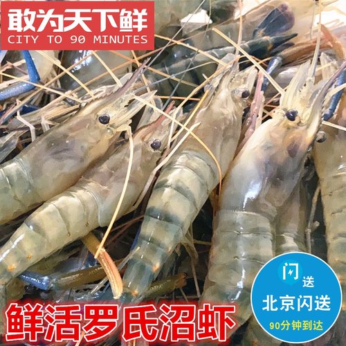 北京闪送 500g 新鲜 鲜活 罗氏虾 大头虾 金钱虾 沼虾活虾