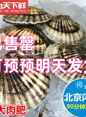 5只扇贝 3两/只 北京闪送 鲜活海鲜新鲜大连獐子岛 扇贝 水产