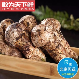 北京閃送 松茸 野生菌子 50只 新鮮 1kg 7cm 云南