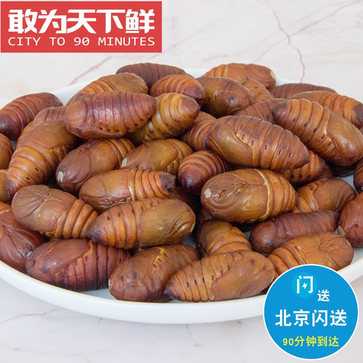 500g 仅限北京闪送 大蚕蛹 新鲜鲜活体 爬蝉蛹唐僧肉 黄蚕蛹 茧蛹