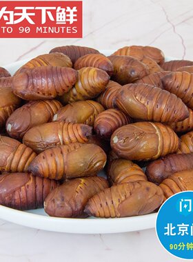 500g 仅限北京闪送 大蚕蛹 鲜活 唐僧肉 黄蚕蛹 茧蛹 蝉蛹 知了猴