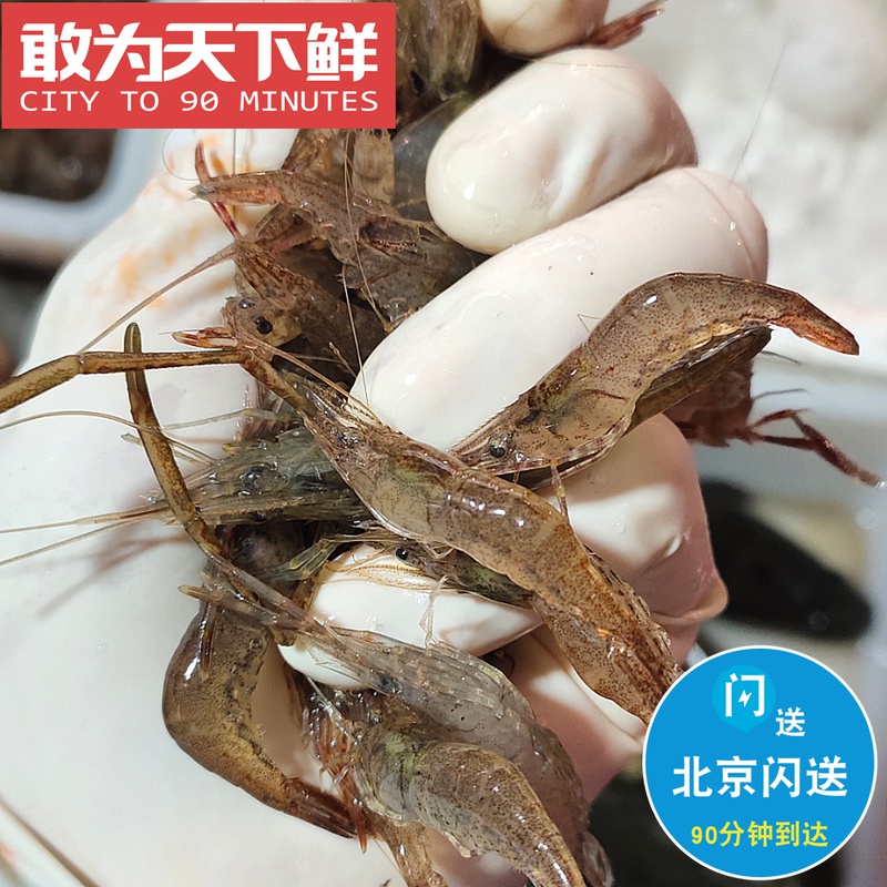 500g小河虾新鲜鲜活