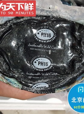 1只1斤 PH16黑金鲍 新西兰进口 新鲜活冻可刺身 深海捕捞大鲍鱼