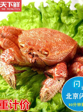 鲜活超大红毛蟹俄罗斯进口
