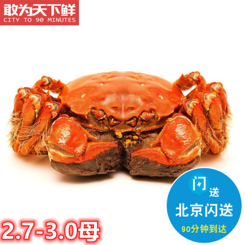 母2.7-3两 北京闪送 河蟹鲜活螃蟹 大闸蟹 满黄满肉 活蟹 3只起拍