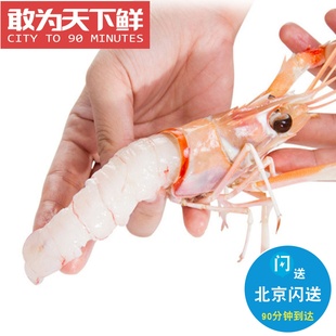 3号 1kg 2kg 新西兰进口深海南极鳌虾斯干比scampi 海鲜 刺身虾