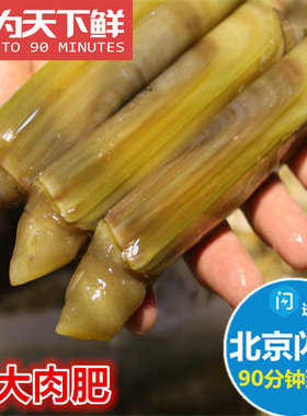 5-8只/斤 北京闪送 蛏子王 大个 海鲜鲜活 竹蛏王 缢蛏新鲜水产