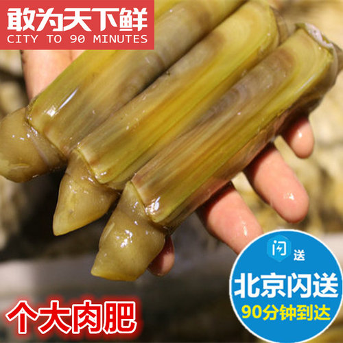 6-10只/斤 北京闪送 蛏子王 大个 海鲜鲜活 竹蛏王 缢蛏新鲜水产
