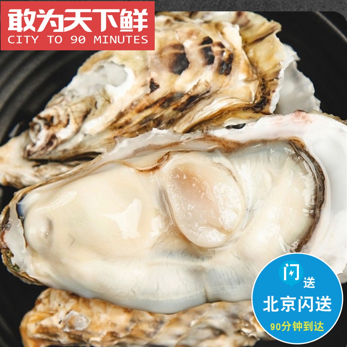 5元/只 北京闪送 乳山生蚝 鲜活纯净烧烤食材牡蛎新鲜水产海鲜 水产肉类/新鲜蔬果/熟食 生蚝 原图主图