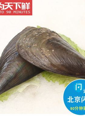 4-5两1只 北京闪送 鲜活带子 鲜活海鲜贝类带子 水产 3只起拍