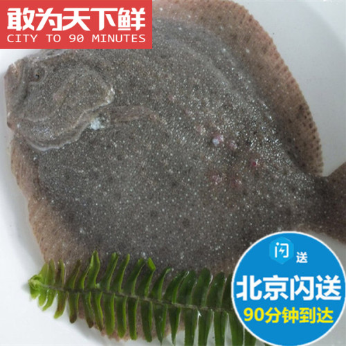 北京闪送 鲜活 多宝鱼 新鲜海鲜水产 肉质细腻 比目鱼