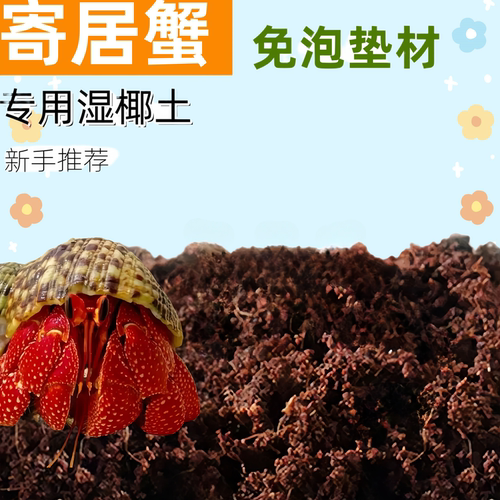 寄居蟹椰土垫料无菌免泡椰土爬宠椰土乌龟冬眠蜘蛛蜗牛苔藓保湿